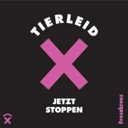 Tierleid jetzt stoppen (schwarz)