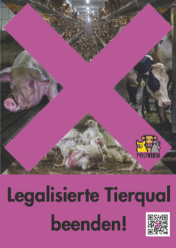 Provieh Legalisierte Tierqual beenden!